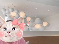 -青梅酒肆PLUS(长白仙岛北路店)
