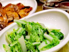 清炒小白菜-刘胖子家常菜·蹄花焖藕(中南店)