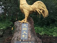 -海口火山口国家地质公园