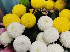 -妃比花艺(光启城时尚购物中心店)