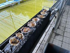 -北京上庄水库尚野露天户外自助烧烤