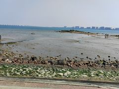 -集美鳌园景区