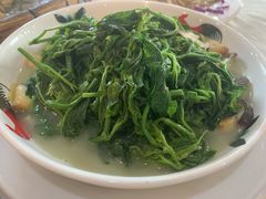 上汤桑叶-农家鸡宴私房菜(城东店)