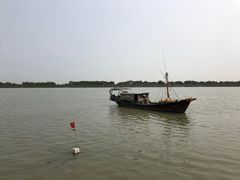 -大湾区中央湿地公园-十九涌