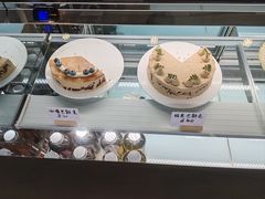 -猫里有甜
