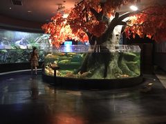 -太平洋影城(紫荆店)