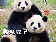 -东方司乐·注意力·专注力·学习能力训练(番禺万达店)