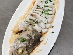 -船歌·鱼水饺青岛菜(金狮广场店)