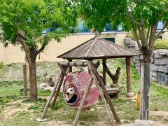 -石家庄市动物园