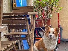-绿小院(荔湾店)