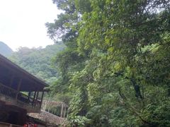 -龙颈河漂流
