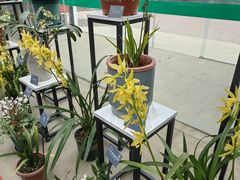 -国家植物园南园