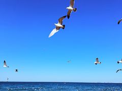 -烟台百纳瑞汀酒店