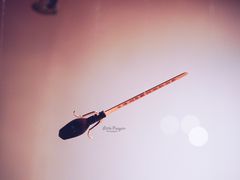 -歪歪宫殿·生日派对·团建聚会·轰趴·Wonder Palazzo