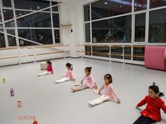 -中央芭蕾舞团·中芭艺蕾(酒仙桥明星校区)