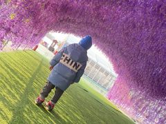 -绿野森林乐园冰雪季