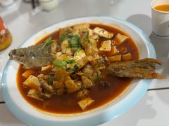 -煲来饱去冷水鱼