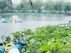 -WhaleSports户外水上运动俱乐部(朝阳公园店)