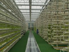 -兰陵国家农业公园