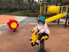 -枫香湖儿童公园