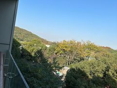 -上海佘山茂御臻品之选酒店(原佘山艾美酒店)