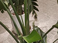 -西贝莜面村(上海百联西郊店)