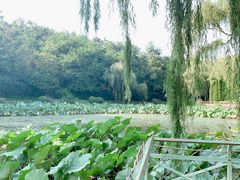 -棒棰岛宾馆景区