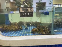 -大众海鲜(巨龙北路店)