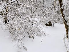 -九峰山