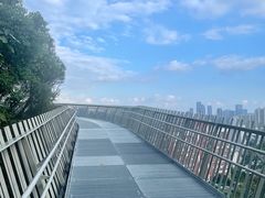 -福道