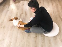 -浣熊柯尔鸭土拨鼠·电玩咖