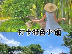 -广州市流溪河国家森林公园