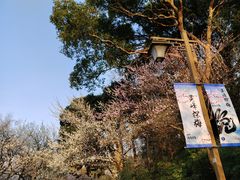 -杭州植物园