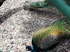 -南京金牛湖风景区