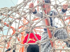 -中国福利会少年宫