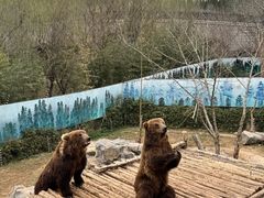 -济南野生动物世界