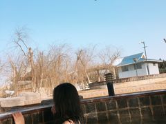 -龙达温泉生态城