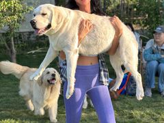 -爪吧宠物乐园 (温榆河示范区店)