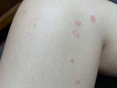 -赛豪大酒店(华熙文化体育中心店)