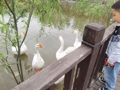 -河北村民俗体验园
