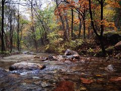 -玉渡山自然风景区