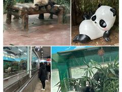 -广州动物园