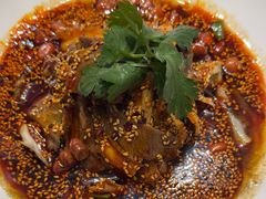 -院8里·少城记忆老川菜(宽窄巷子店)