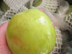 -沈阳市八家子水果批发市场