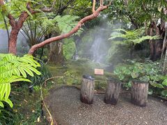 -Chom Cafe and Restaurant