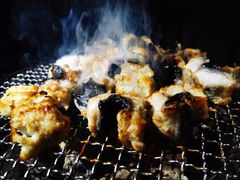 吉力烤鳗鱼-吉力烤鳗