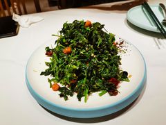 山野灰灰菜-奔跑吧陕菜·盛世长安(民乐园万达店)