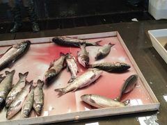 -韩家墅海吉星农产品批发市场