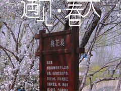 -桃花堤公园