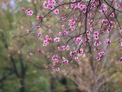 -白塘生态植物园